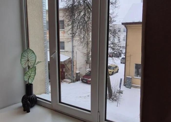 Private Double In Building * Вільнюс